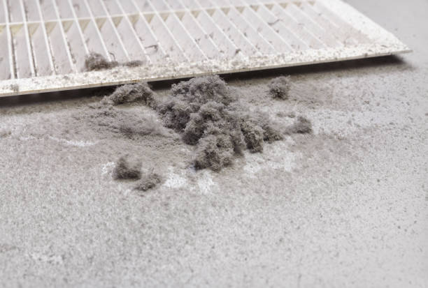 Best HVAC System Cleaning  in Hanover, MN