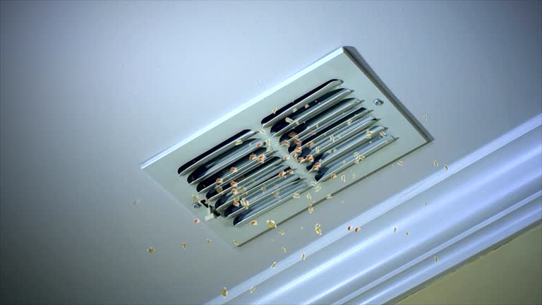 Best Ductwork Cleaning Services  in Hanover, MN